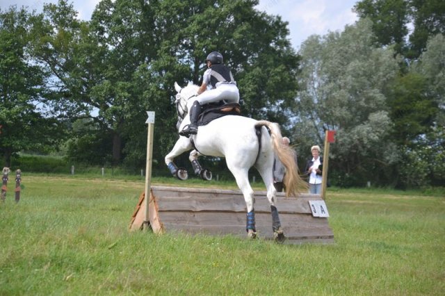reitertag 2013 170